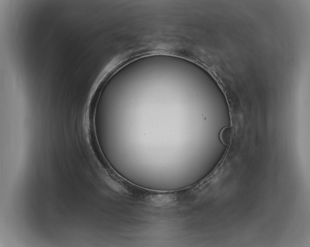 X0000112940102200908311457