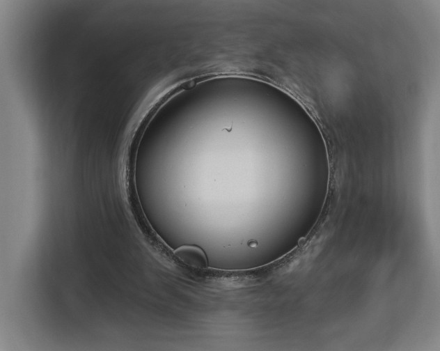 X0000112940103200908311457