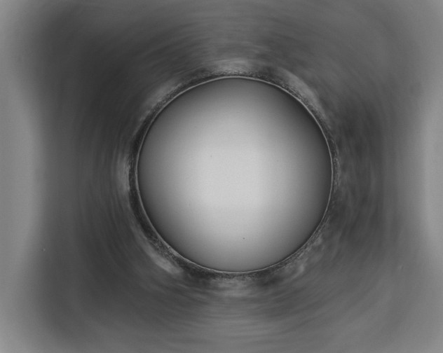 X0000112940106200908311457