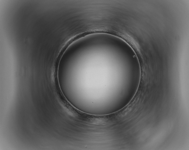 X0000112940107200908311457