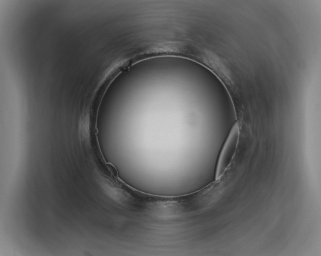 X0000112940108200908311457