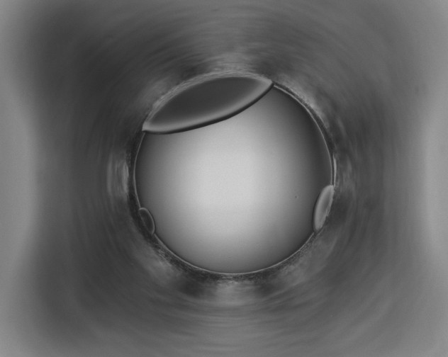 X0000112940109200908311457