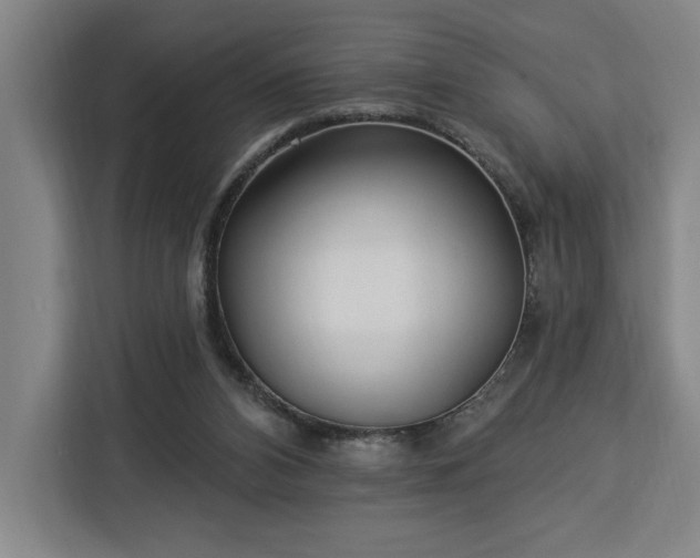 X0000112940112200908311457