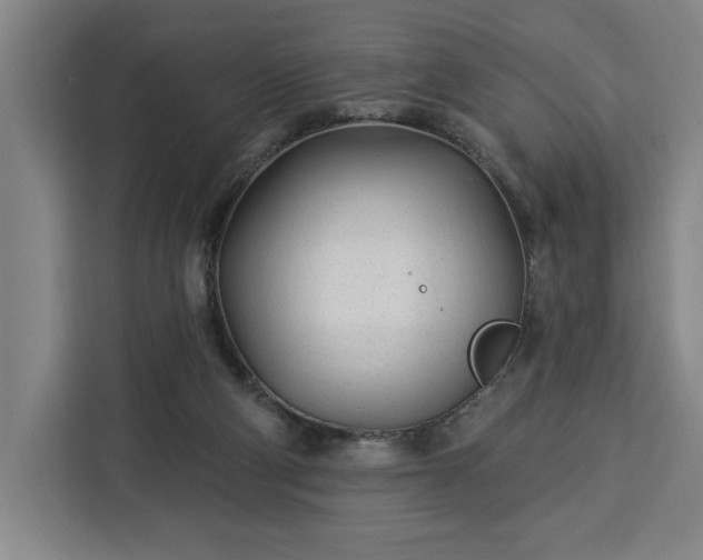 X0000112940114200908311457