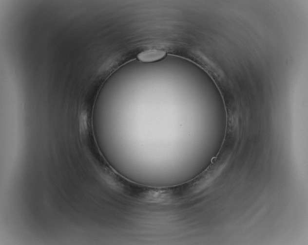 X0000112940117200908311457