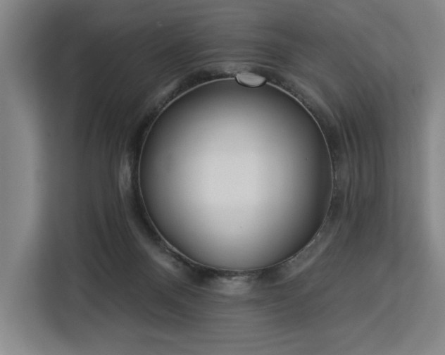 X0000112940120200908311457