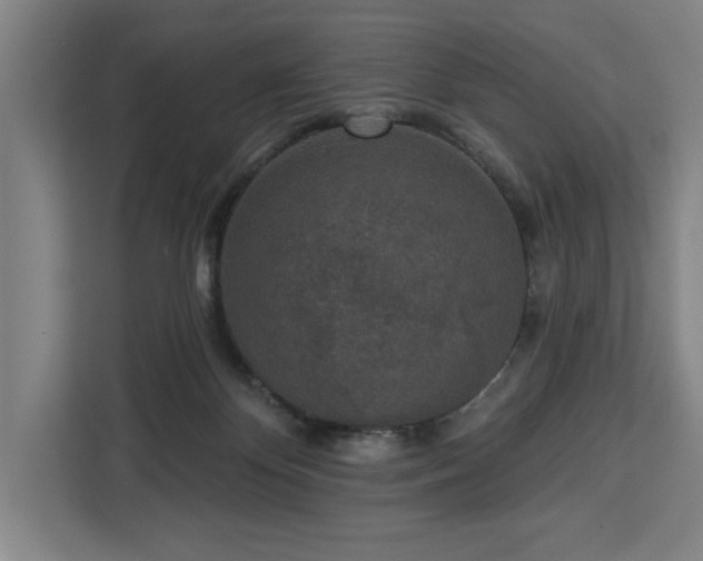 X0000112940124200908311457