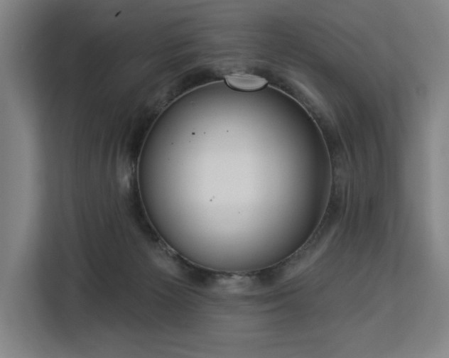 X0000112940125200908311457