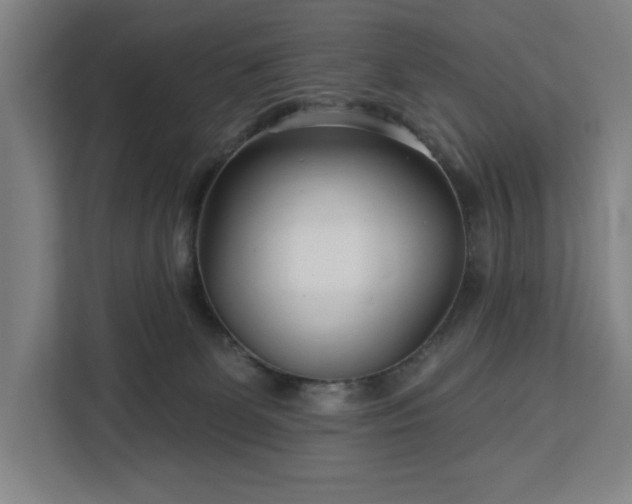 X0000112940131200908311457