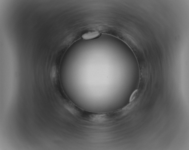 X0000112940132200908311457