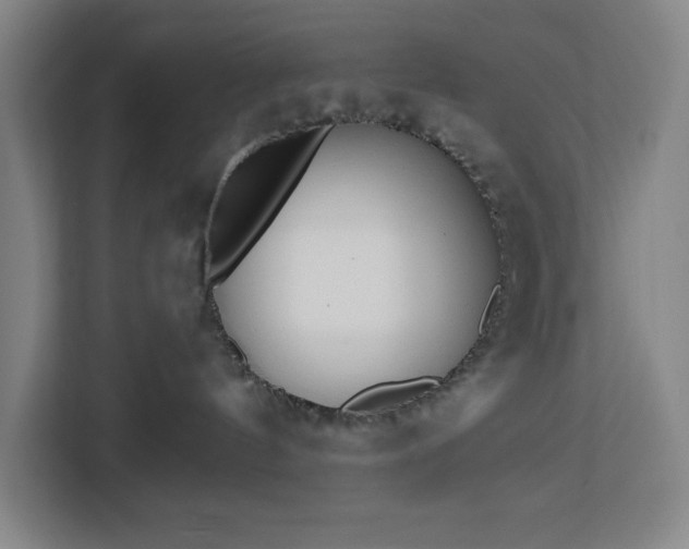 X0000112940144200908311456