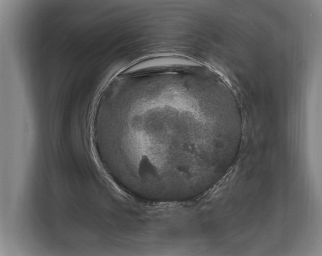 X0000112940145200908311456