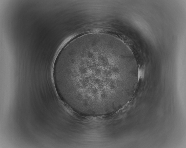 X0000112940147200908311456