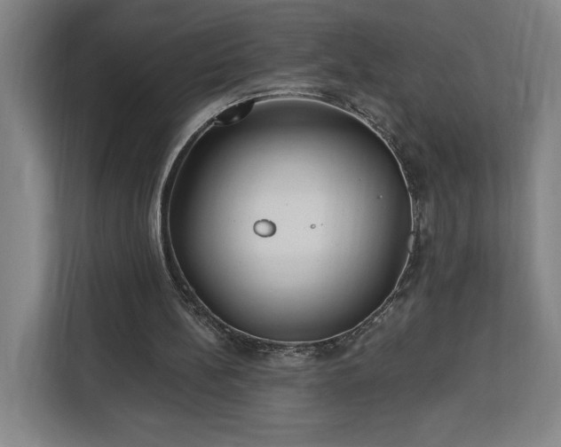 X0000112940148200908311456