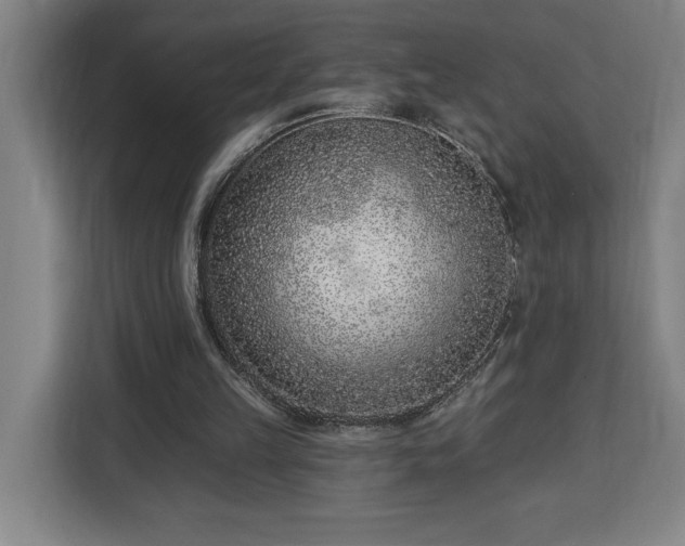 X0000112940149200908311456