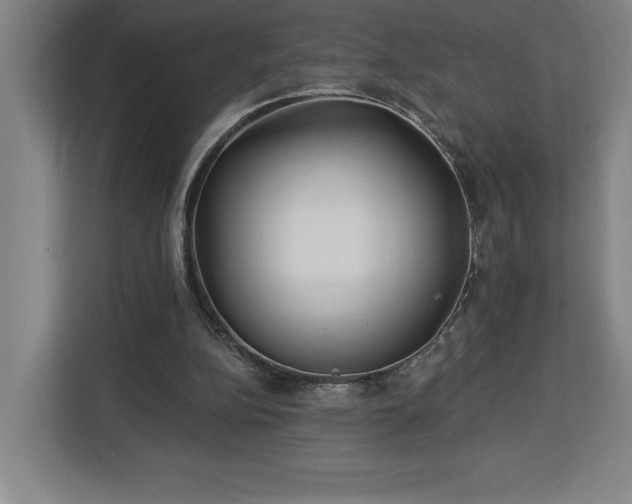 X0000112940152200908311456