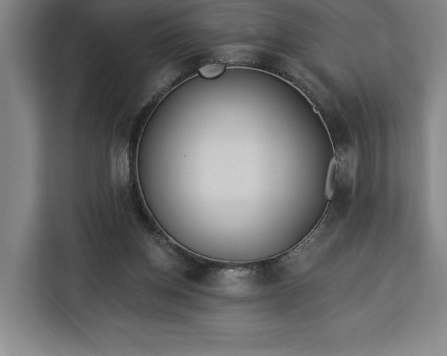 X0000112940158200908311456