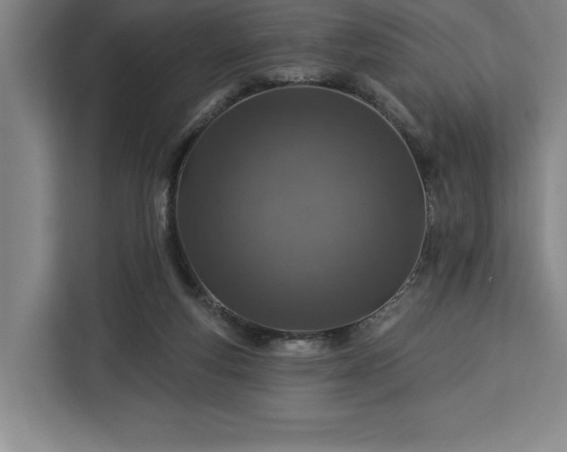 X0000112940163200908311456