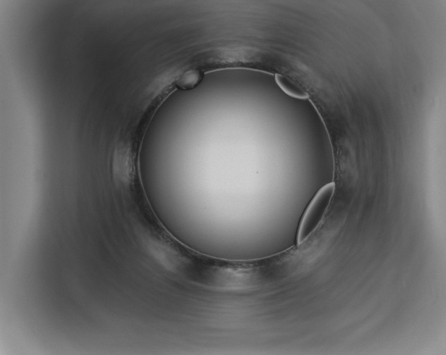 X0000112940164200908311456