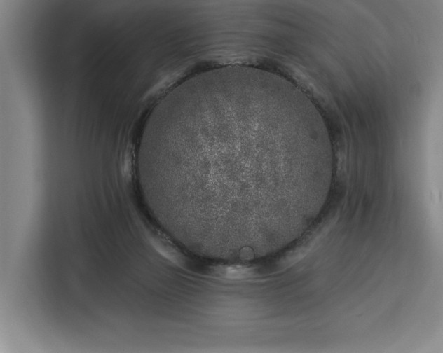 X0000112940165200908311456