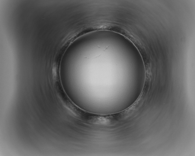 X0000112940166200908311456