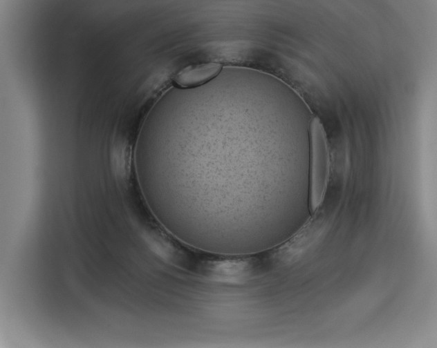 X0000112940168200908311456