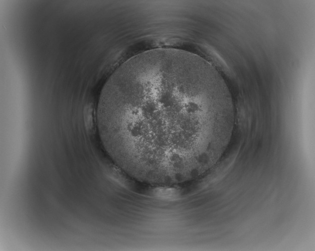 X0000112940169200908311456