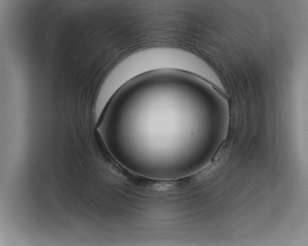 X0000112940172200908311456