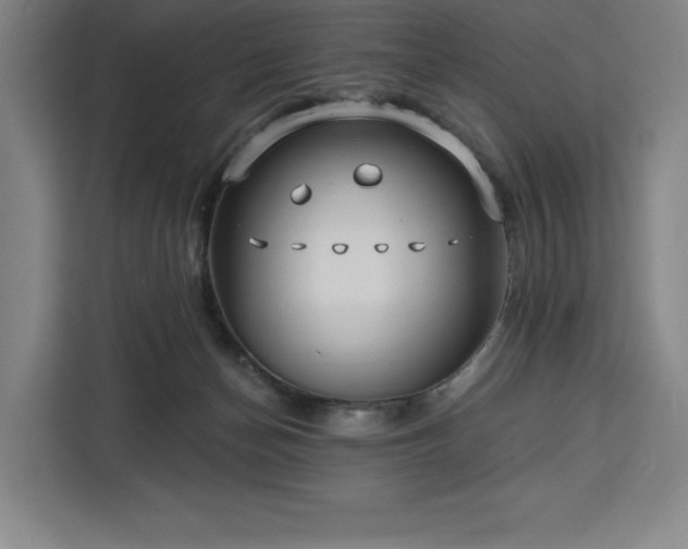 X0000112940174200908311456