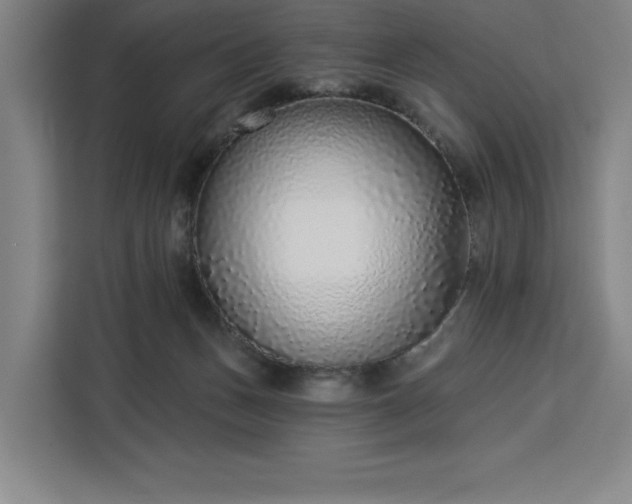 X0000112940175200908311456