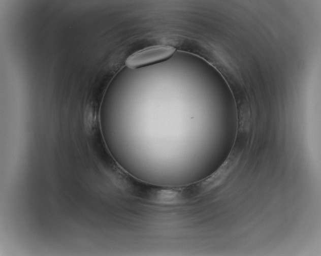 X0000112940176200908311456