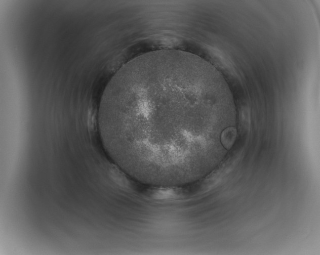 X0000112940177200908311456