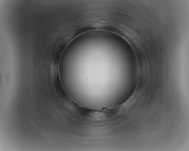 X0000112940180200908311456