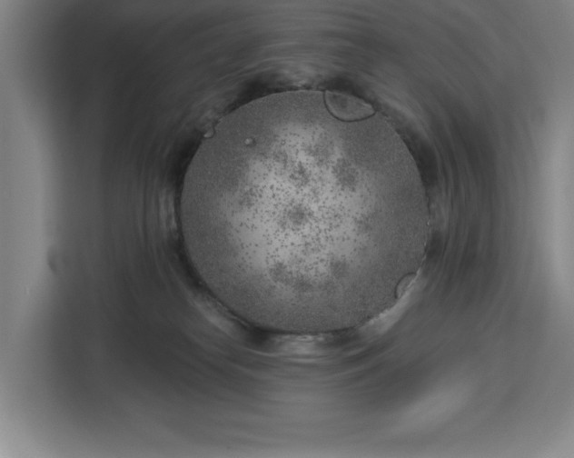 X0000112940182200908311456