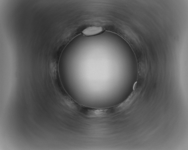 X0000112940184200908311456