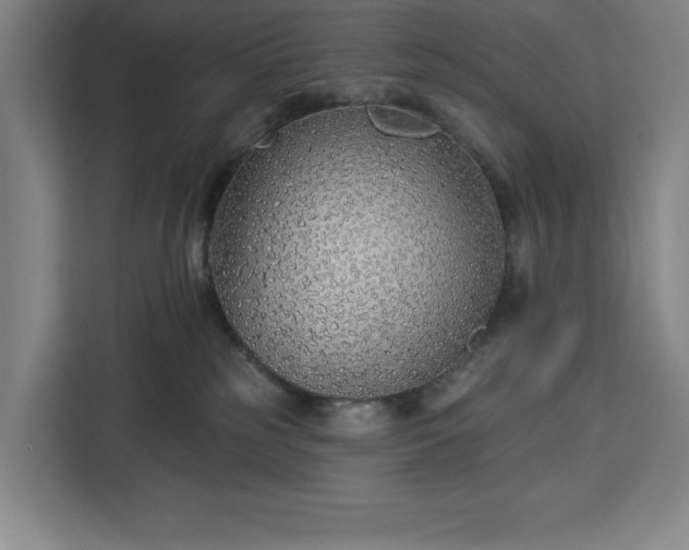 X0000112940185200908311456