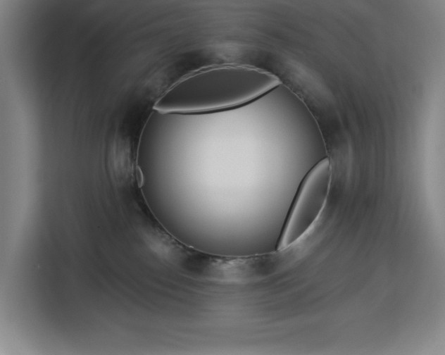 X0000112940186200908311456