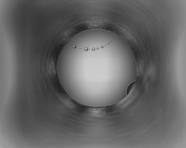 X0000112940187200908311456