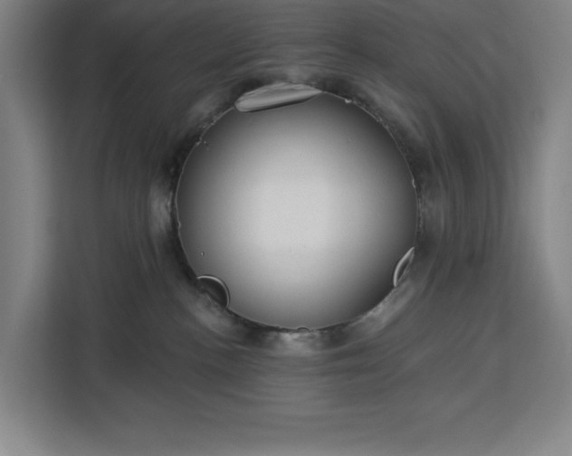 X0000112940188200908311456