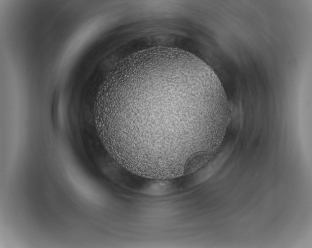 X0000112940189200908311456