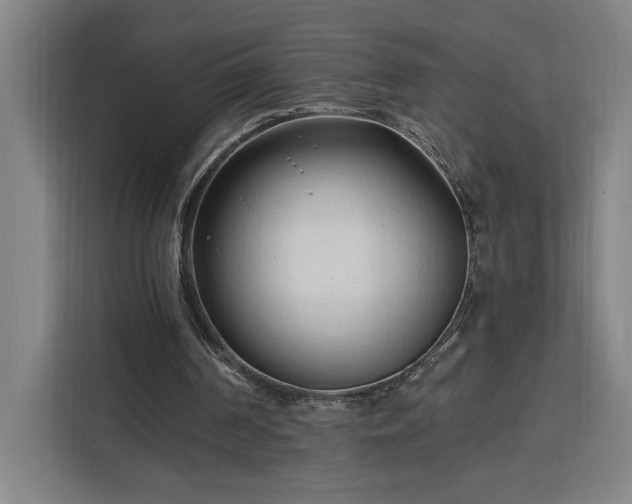 X0000112940194200908311456