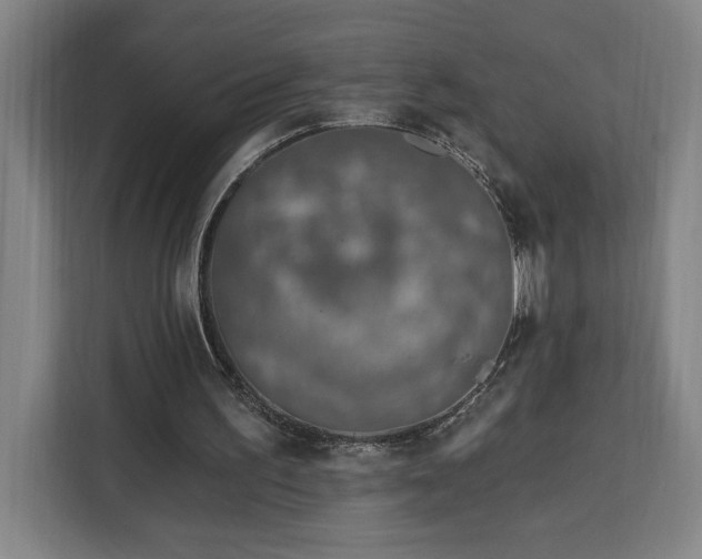 X0000112940195200908311456