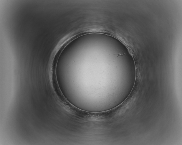 X0000112940199200908311456