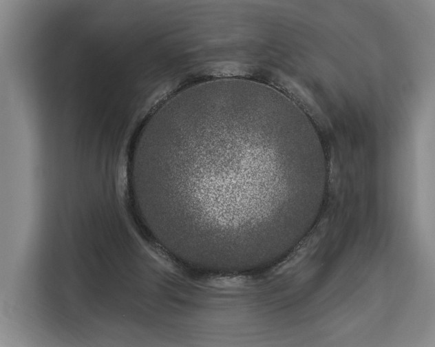 X0000112940202200908311456