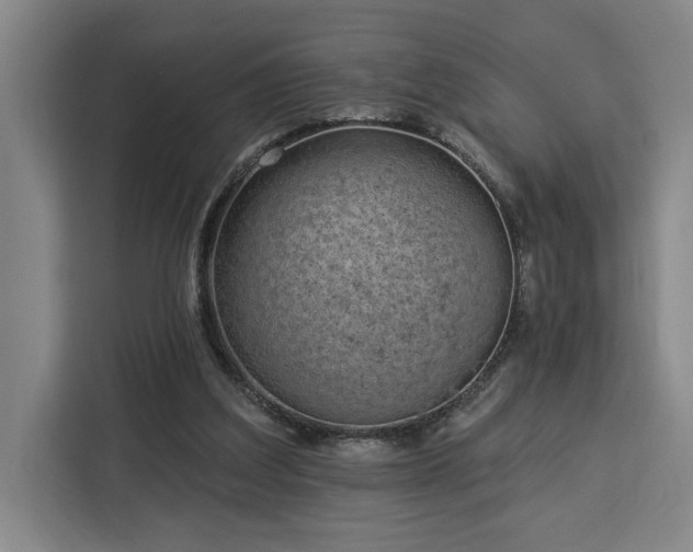 X0000112940203200908311456