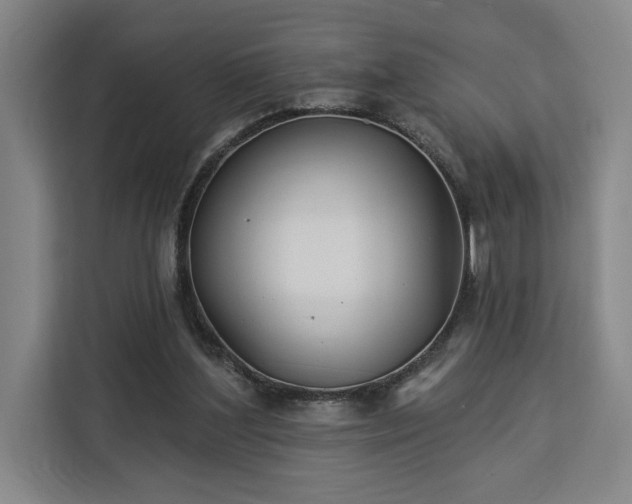 X0000112940204200908311456