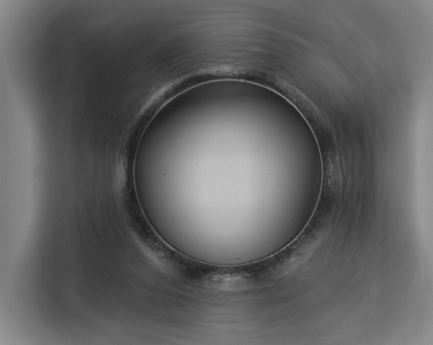 X0000112940208200908311456