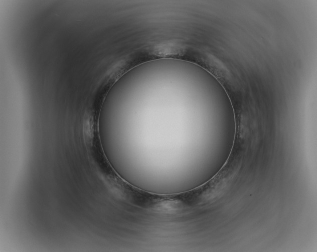 X0000112940210200908311456