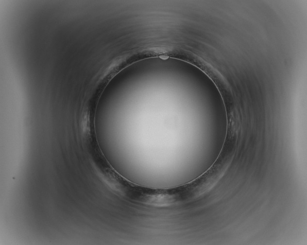 X0000112940212200908311456