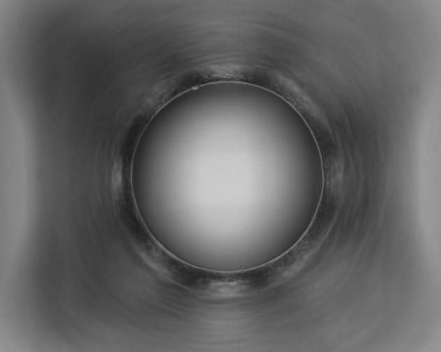 X0000112940213200908311456